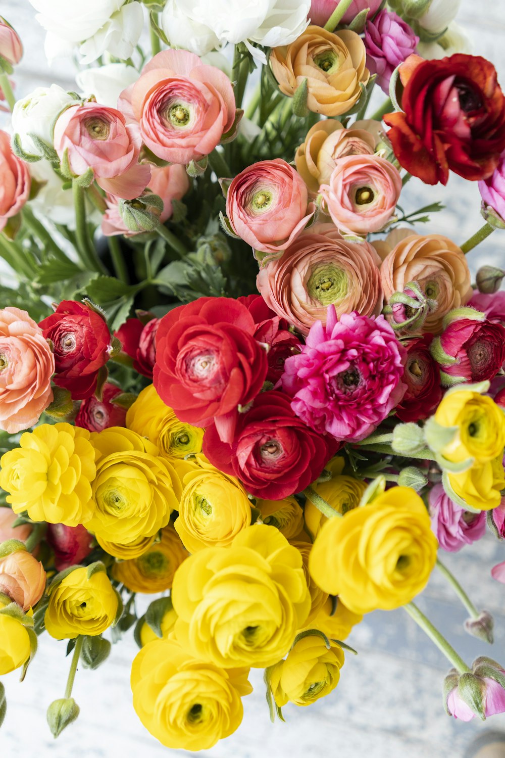 fleurs roses jaunes et roses