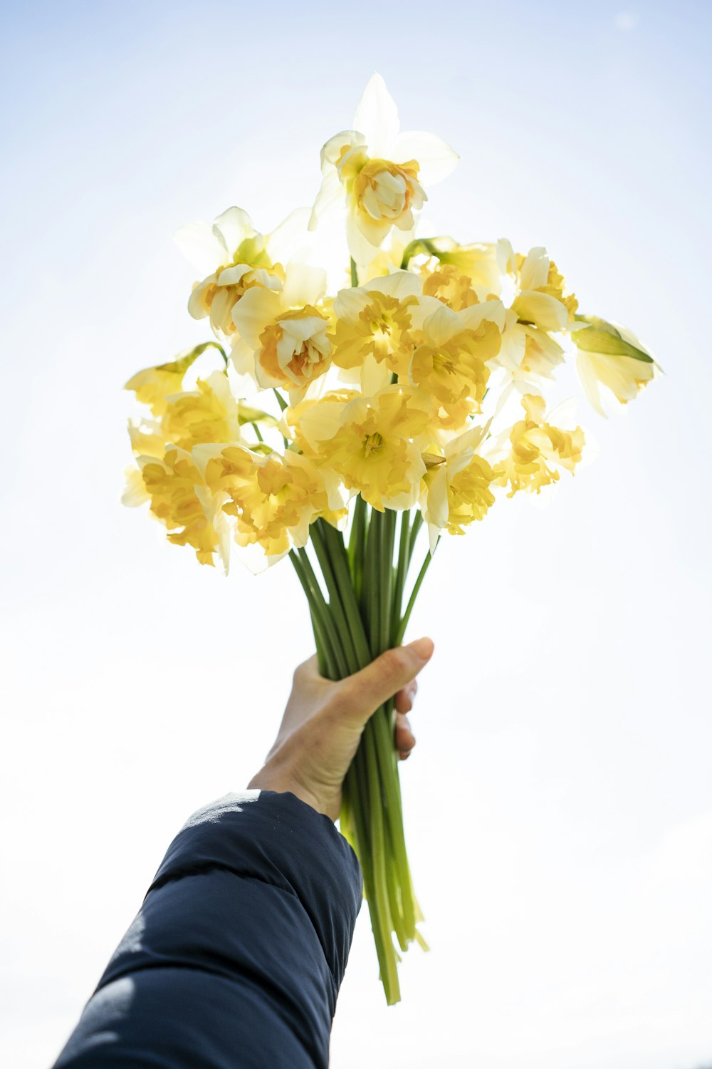 yellow and white flower bouquet