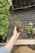 A person's hand holding small plant seedlings with roots, ready for planting. Next to the hand, more seedlings and a tray of soil are visible. Various plants in a tray are also present on the left side of the image. All items are placed on a metallic grid surface.
