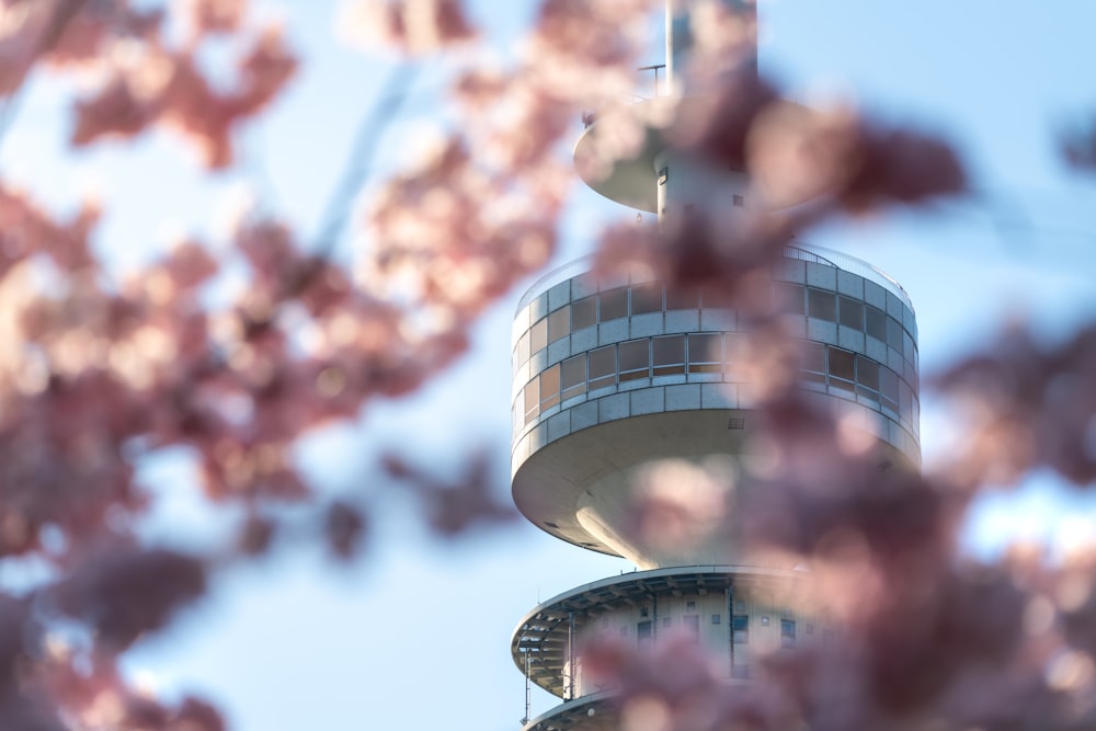 foglie rosse in cima all'edificio