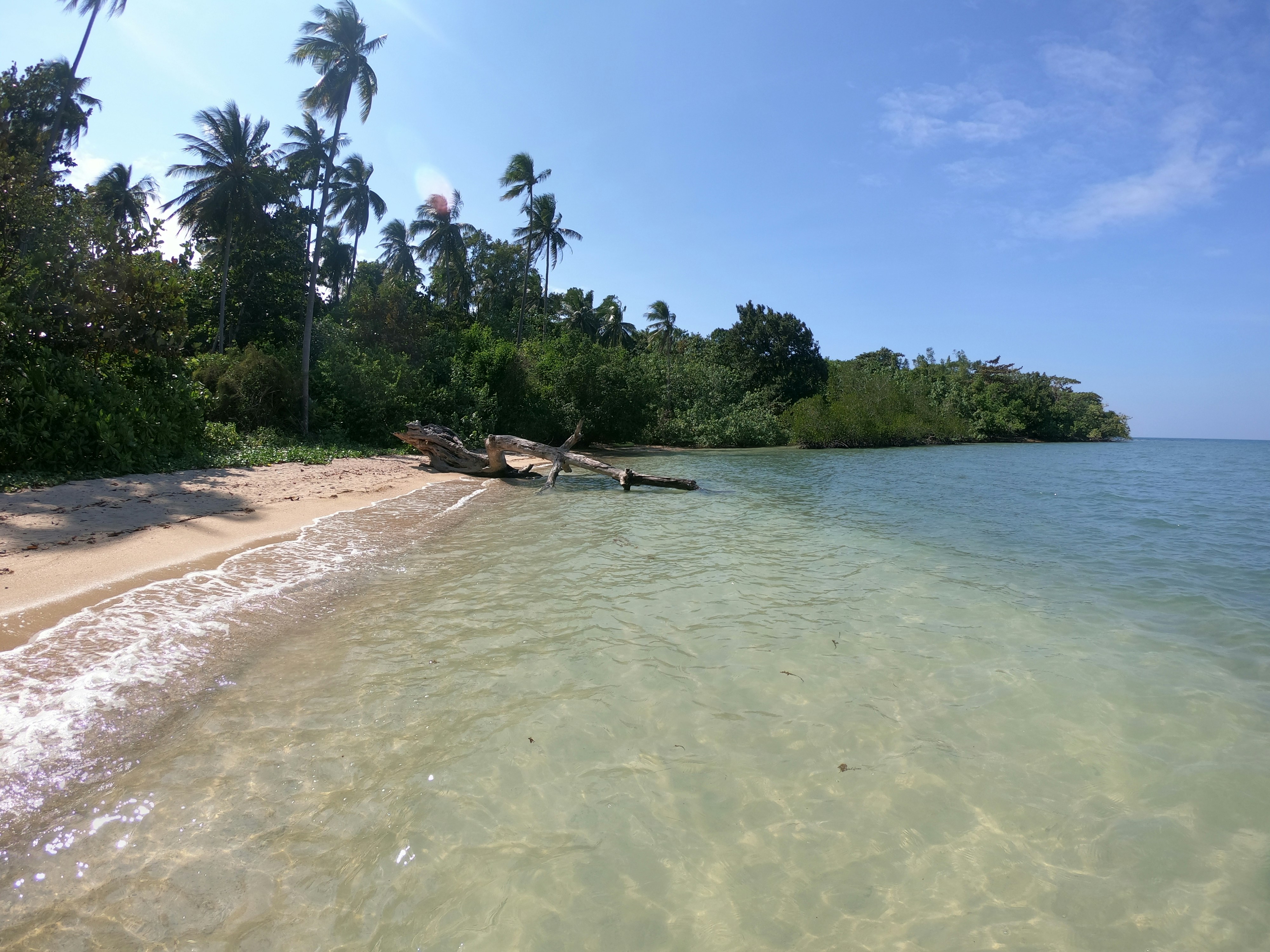 Perfect Florida beach scene with white sand and calm water, ideal for beach day accessories