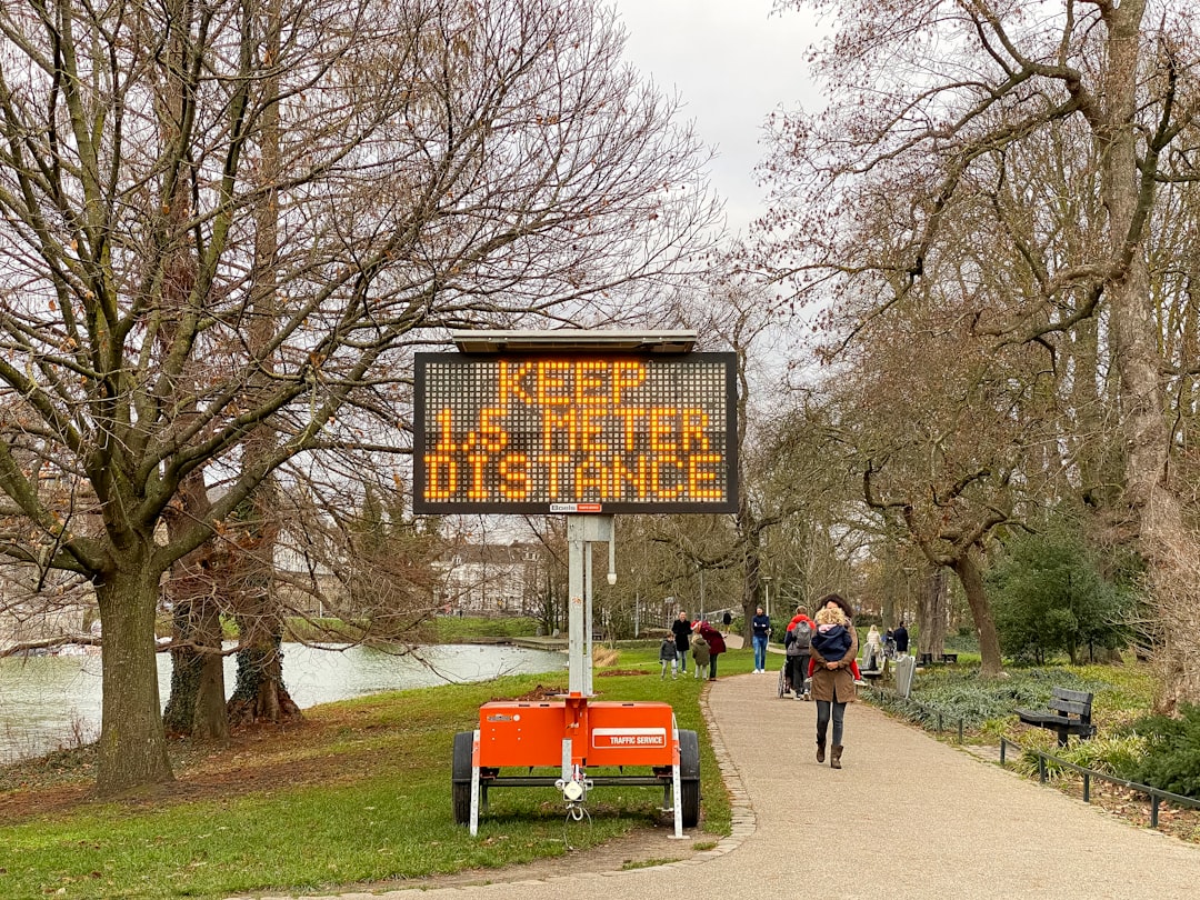 people walking on park during daytime