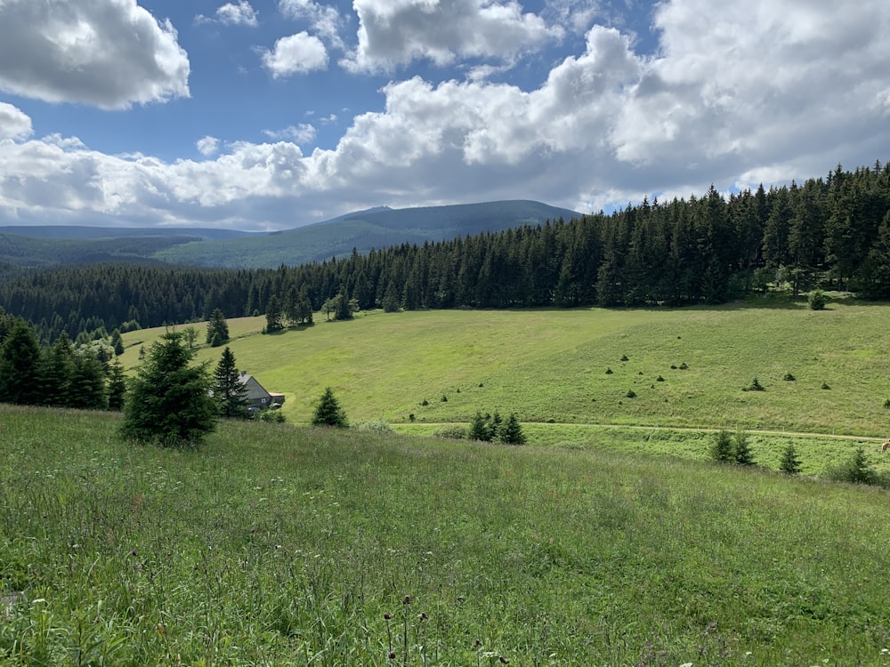 green grass field near green trees under white clouds and blue sky during daytime