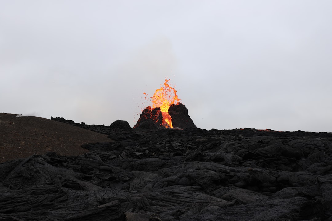 burning wood on black sand during daytime