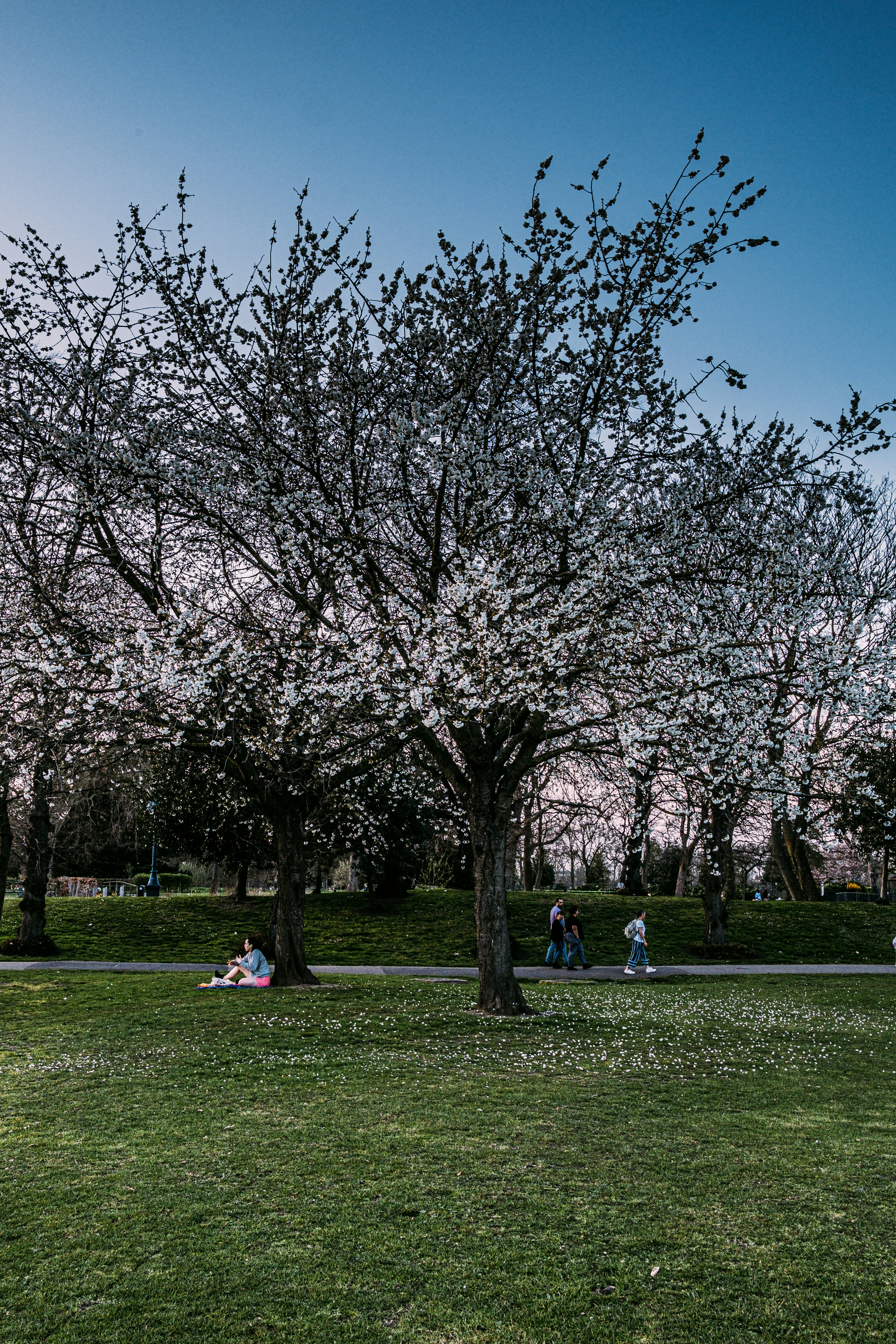 Photo by reganography