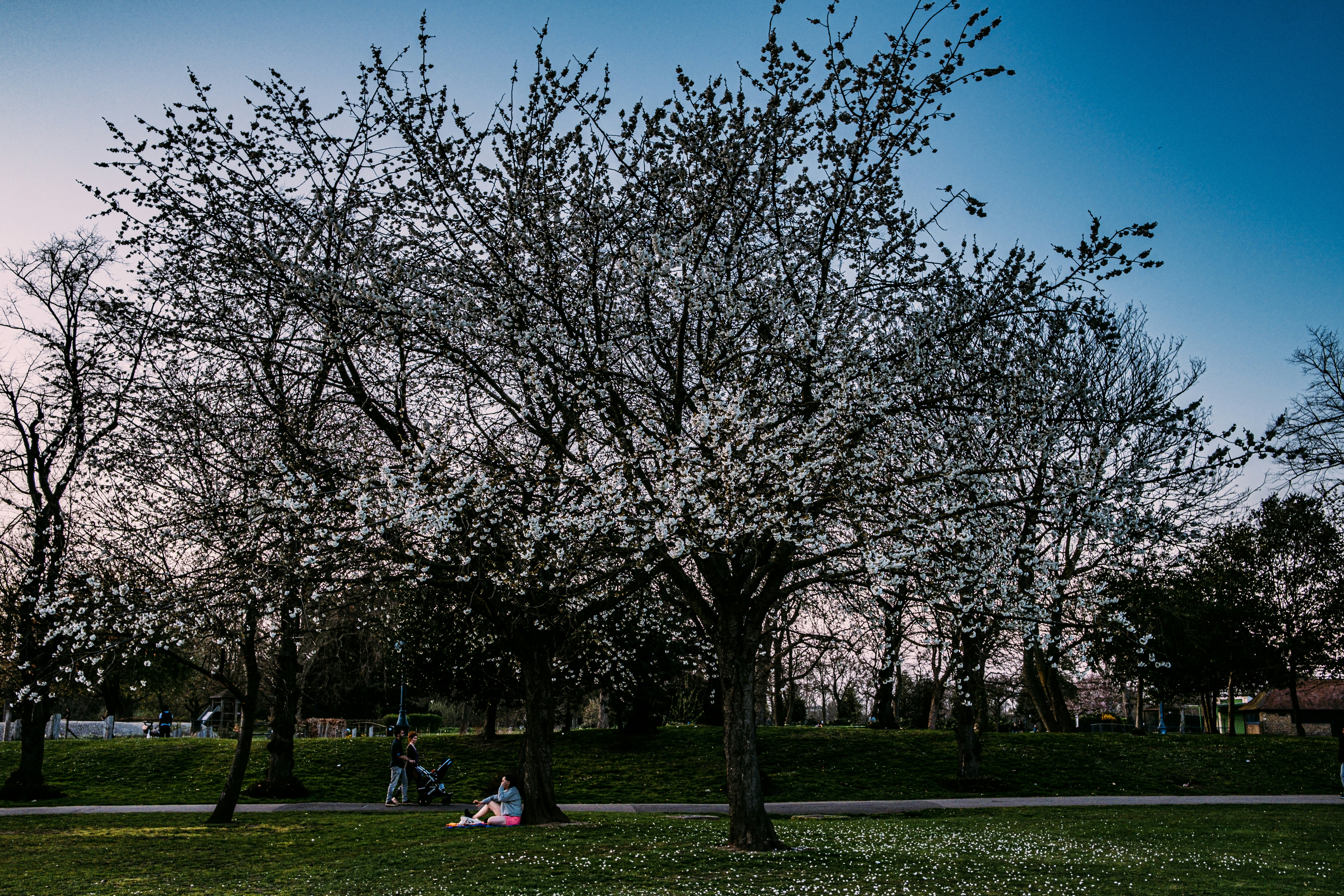 Photo by reganography