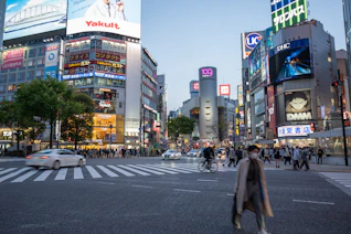 people walking on pedestrian lane during daytime