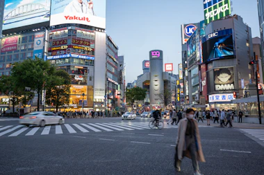people walking on pedestrian lane during daytime