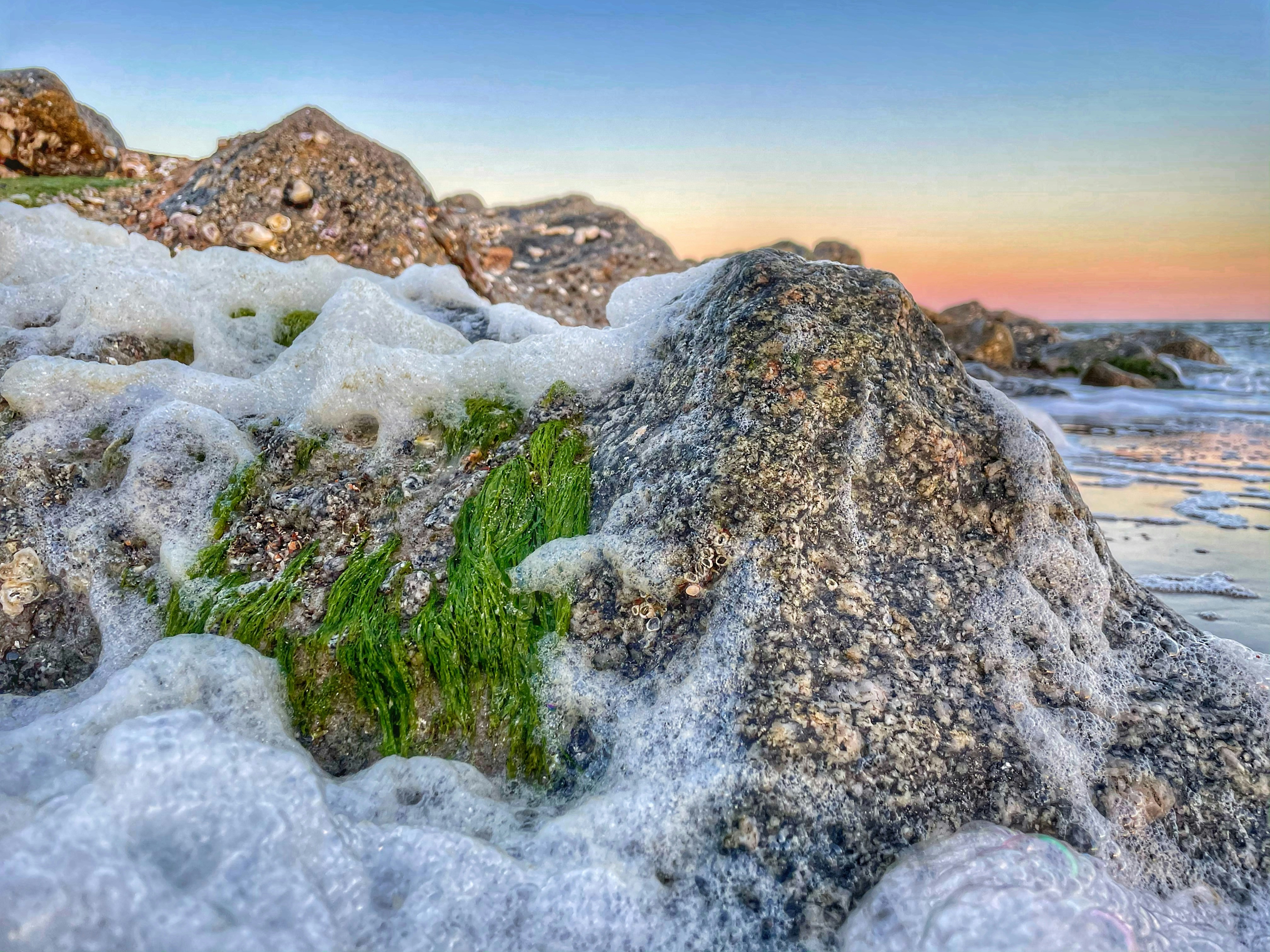 green grass on rocky hill during daytime