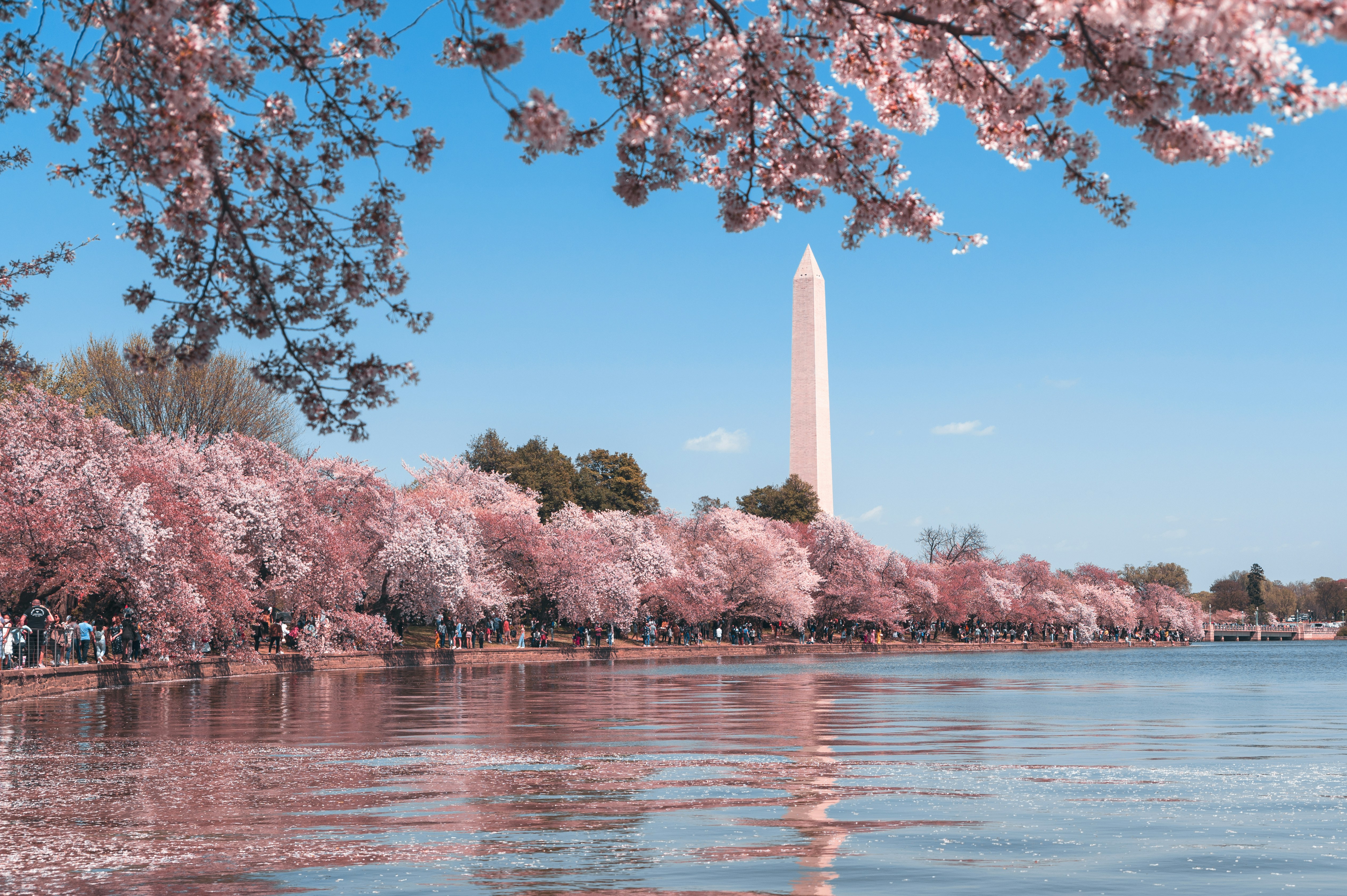 Swingers in Washington, D.C.