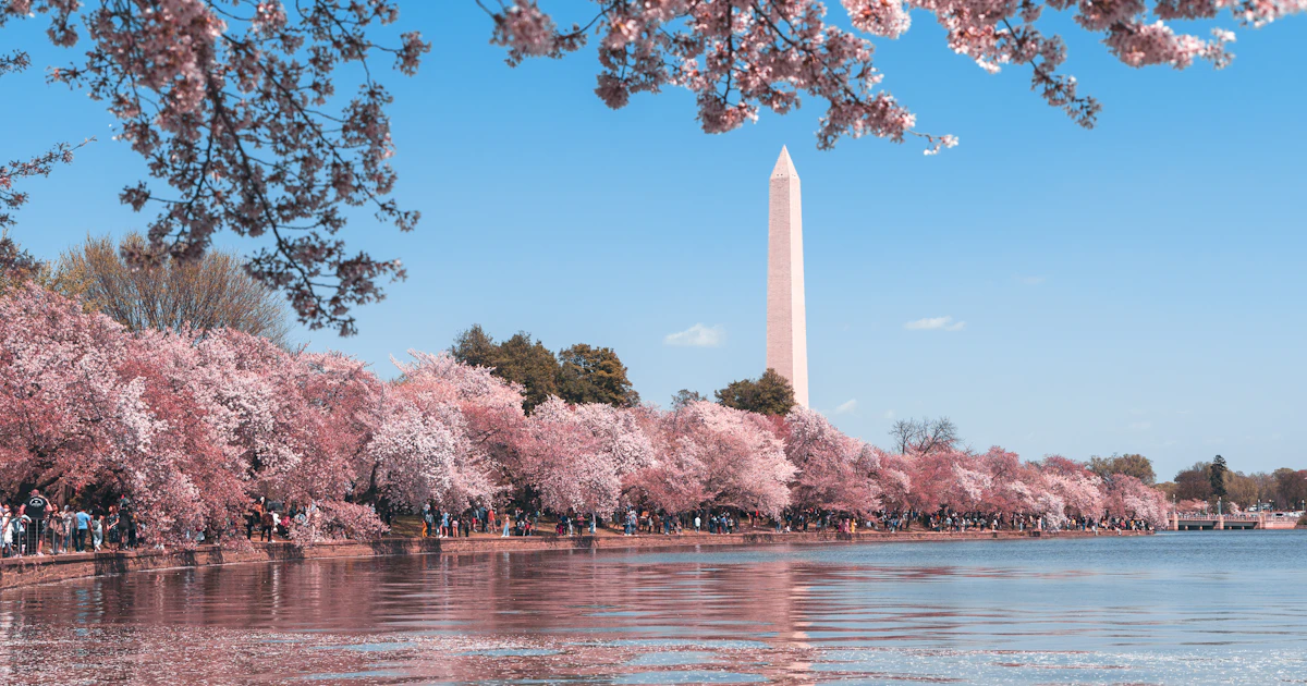DC's Building Energy Performance Standards: How BEPS Is Reshaping the Capital's Real Estate Market