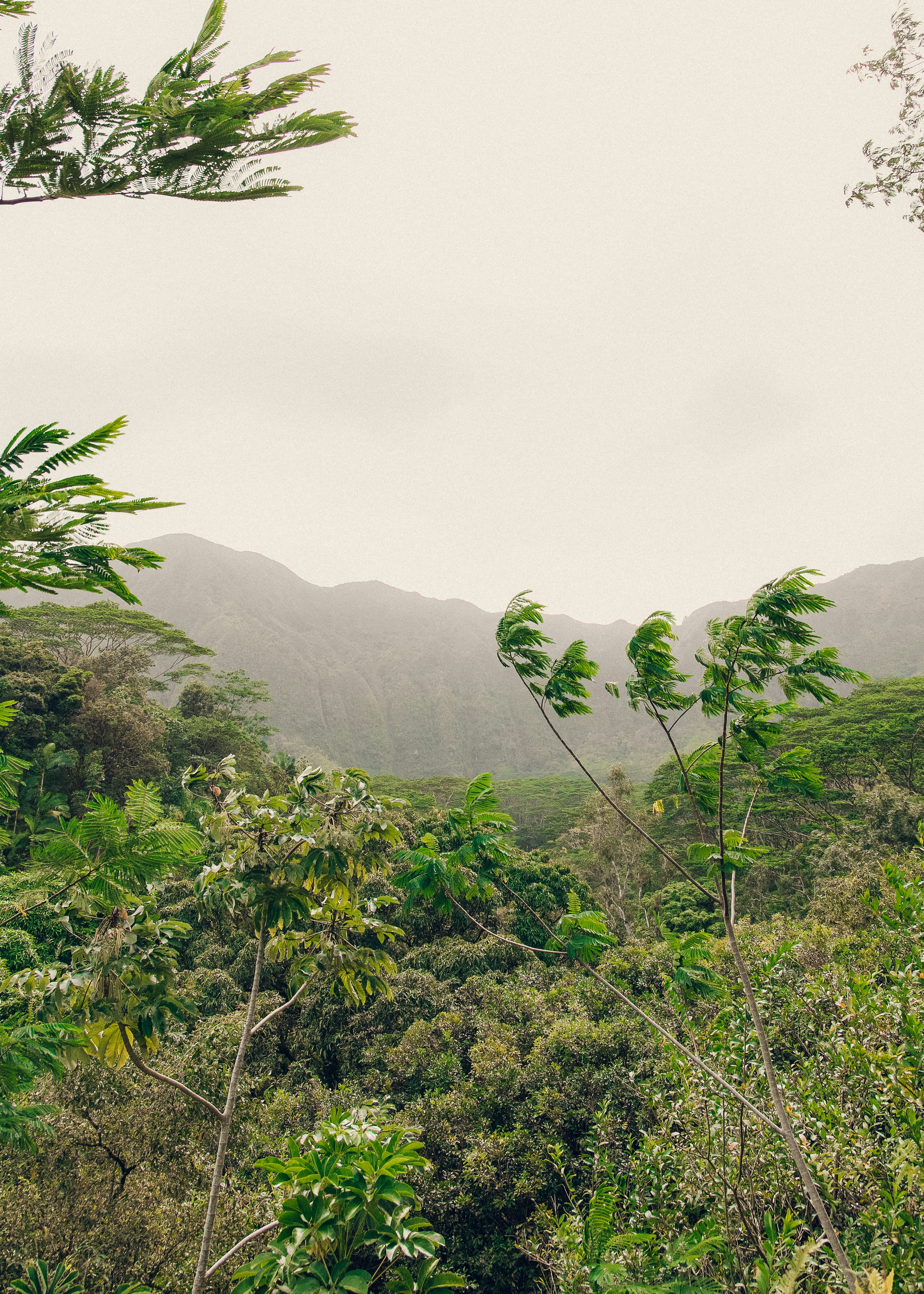 Photo by kevin_turcios