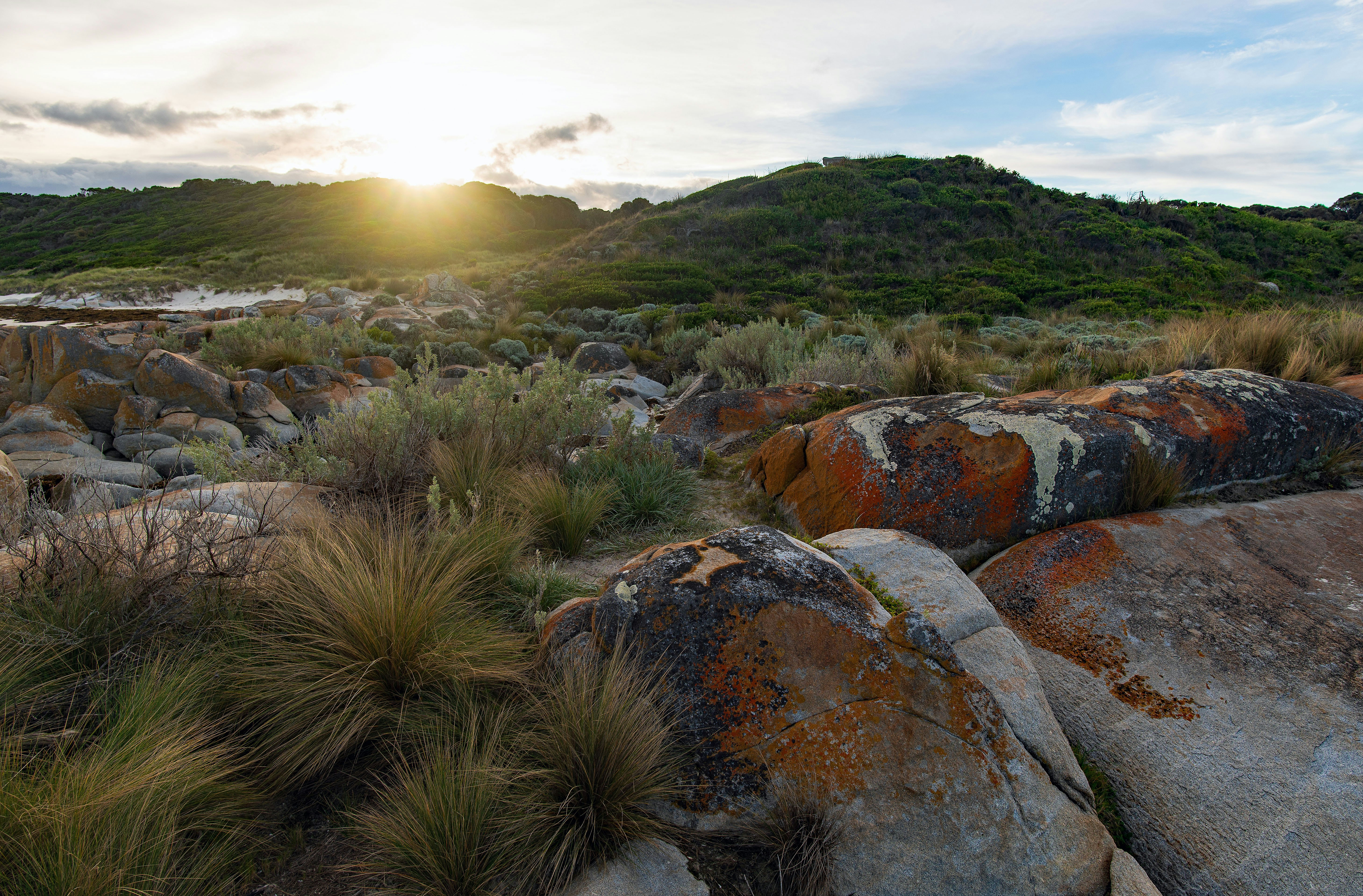 Flinders Ranges, Australia (Wilpena Pound) - Coastal vegetation and lichen-covered rocks at sunset in the St Helens Conservation Area in Tasmania. I think this photo captures the feeling of this wild and beautiful area.