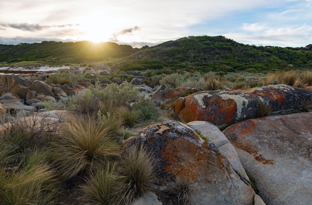 green grass on rocky hill during daytime