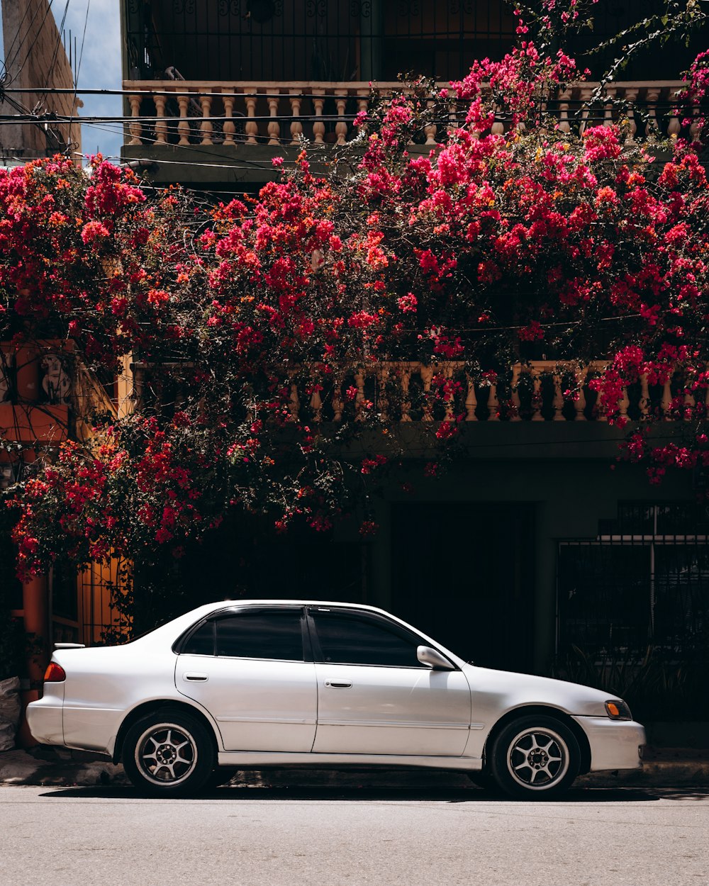 Weiße Limousine neben rotem Blattbaum geparkt