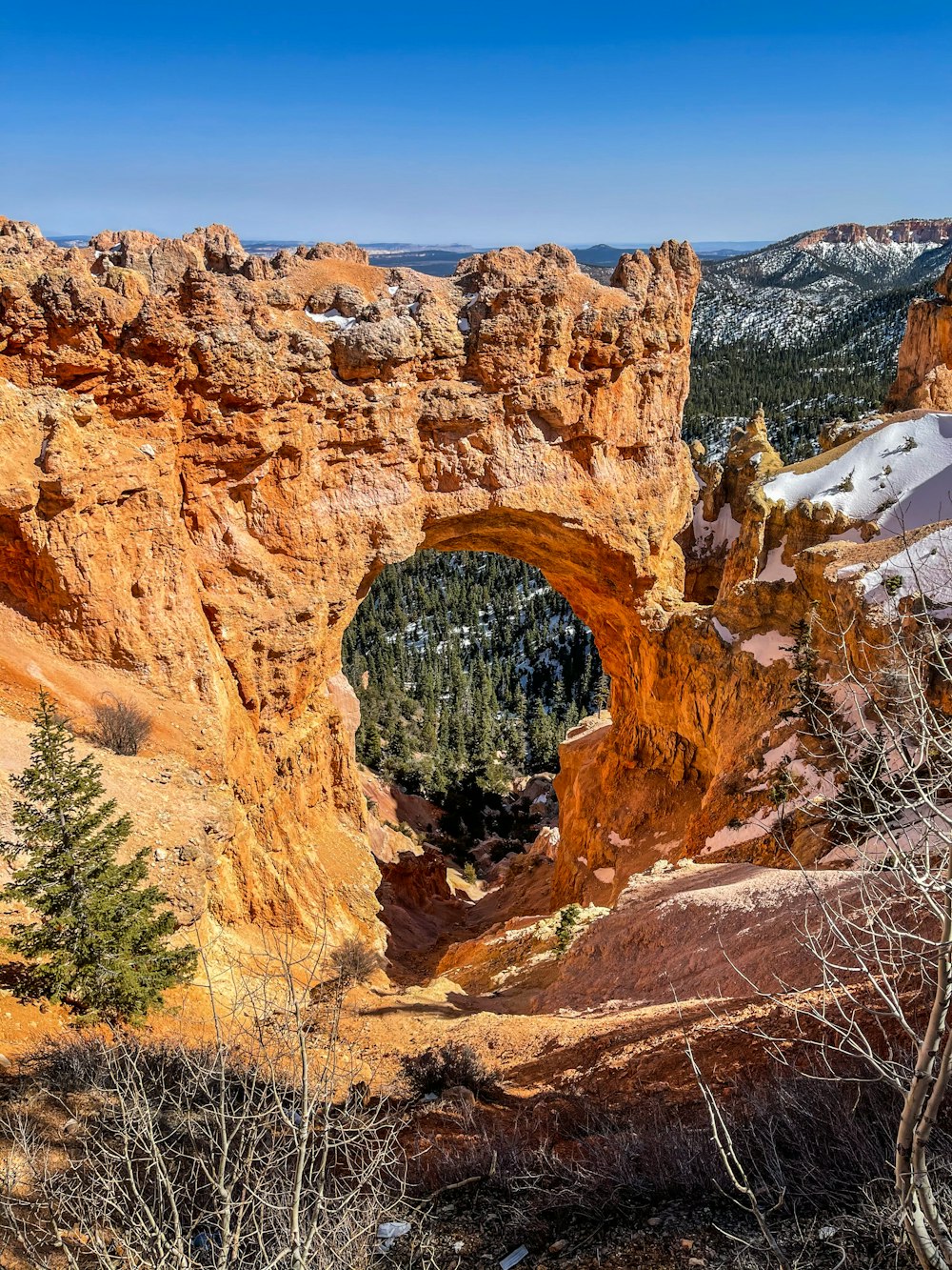 brown rock formation during daytime