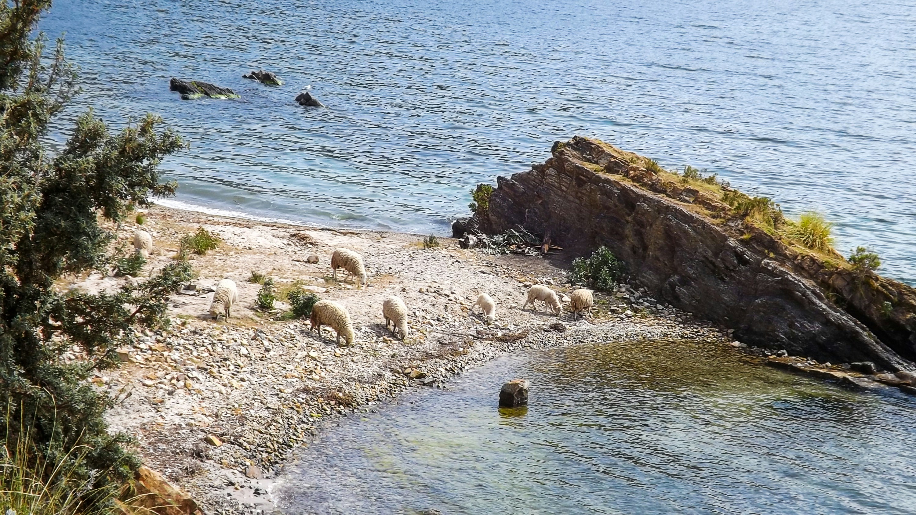Sheep Gulch Boating Site