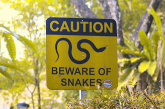 A subtle yellow warning sign blending into a natural environment, hinting at caution and awareness.