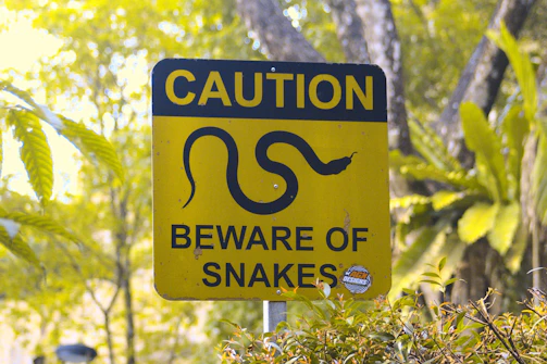 A subtle yellow warning sign blending into a natural environment, hinting at caution and awareness.