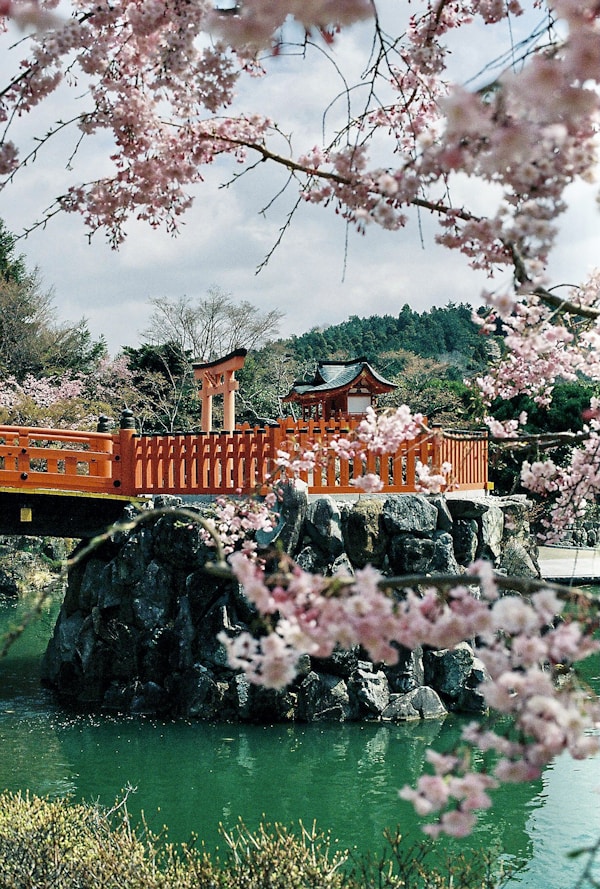 Best Time to Visit Osaka: Weather Guide for Seasons & Months