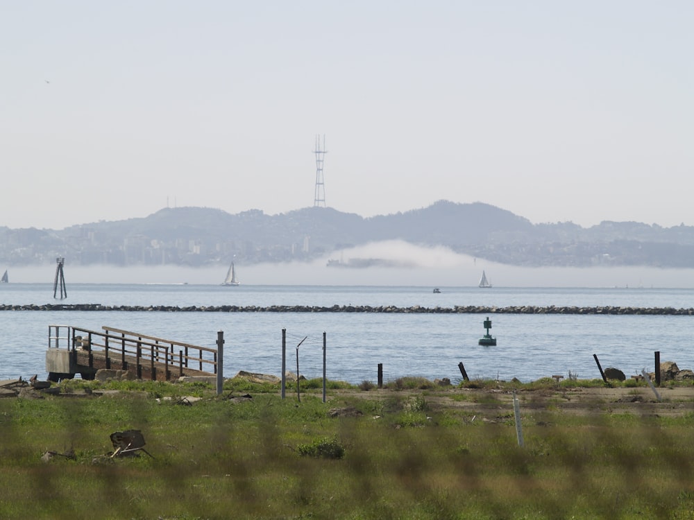 brown wooden dock on sea during daytime