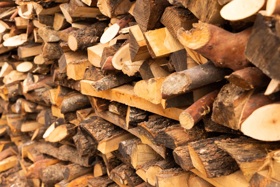 brown wood logs in close up photography