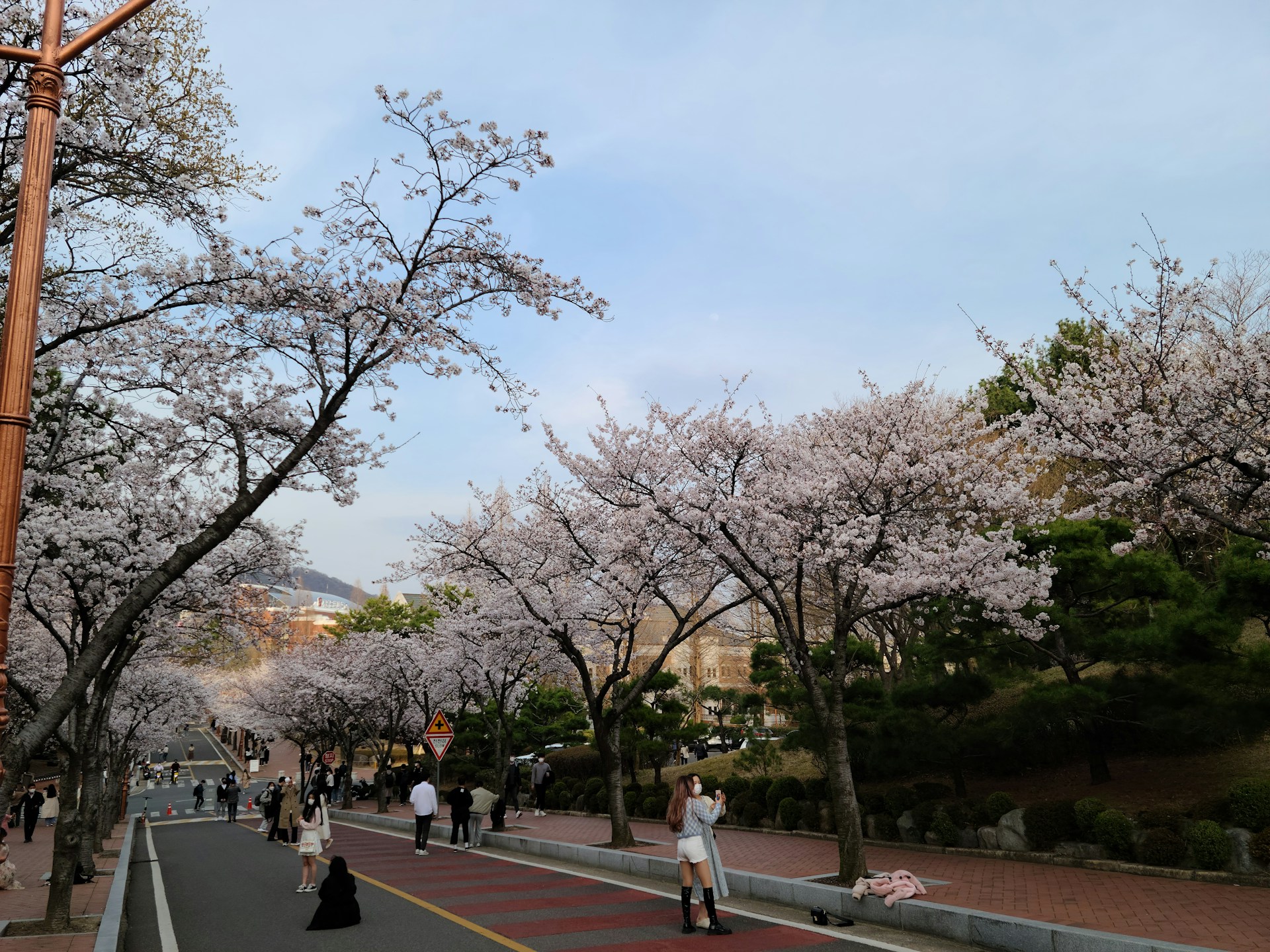 woman wearing yellow long-sleeved dress under white clouds and blue sky during daytime