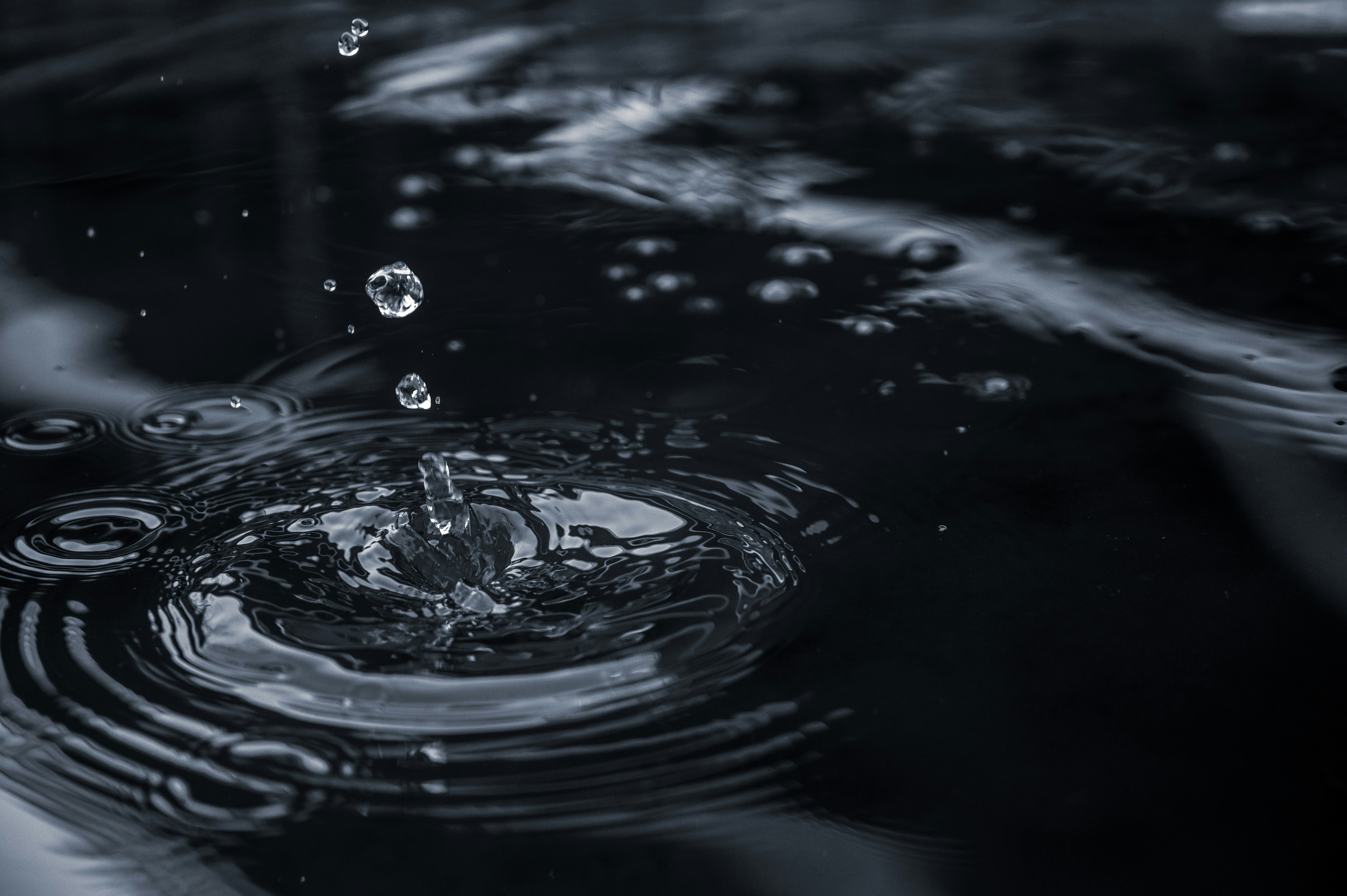 Photo by ryunosuke_kikuno