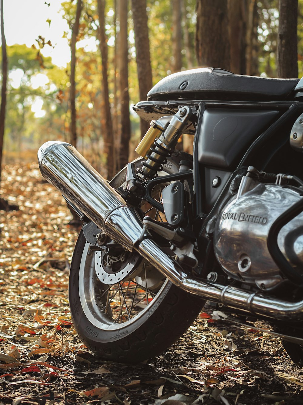 motocicleta preta em folhas marrons durante o dia