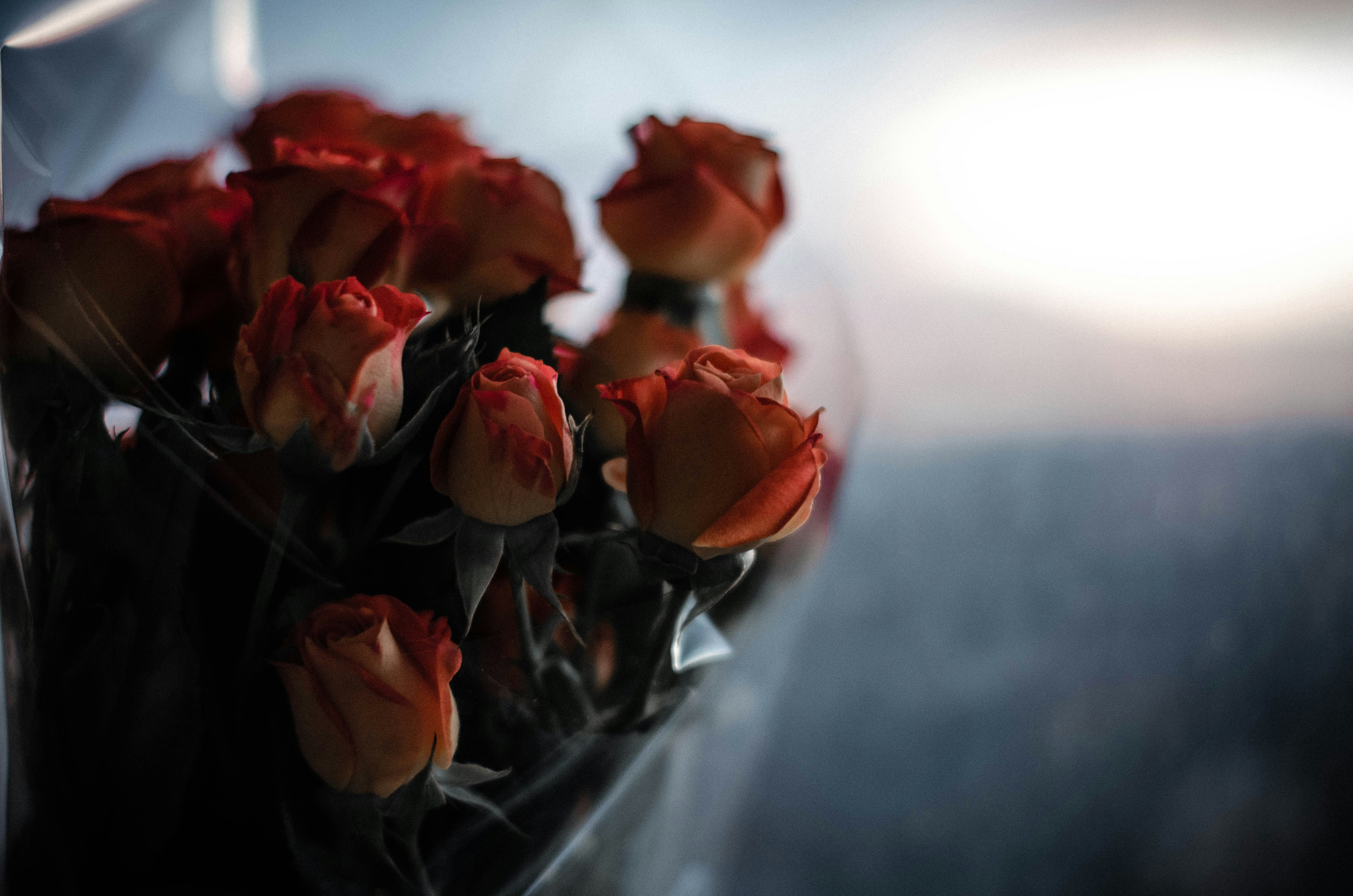 Roses that last a year displayed in crystal vase