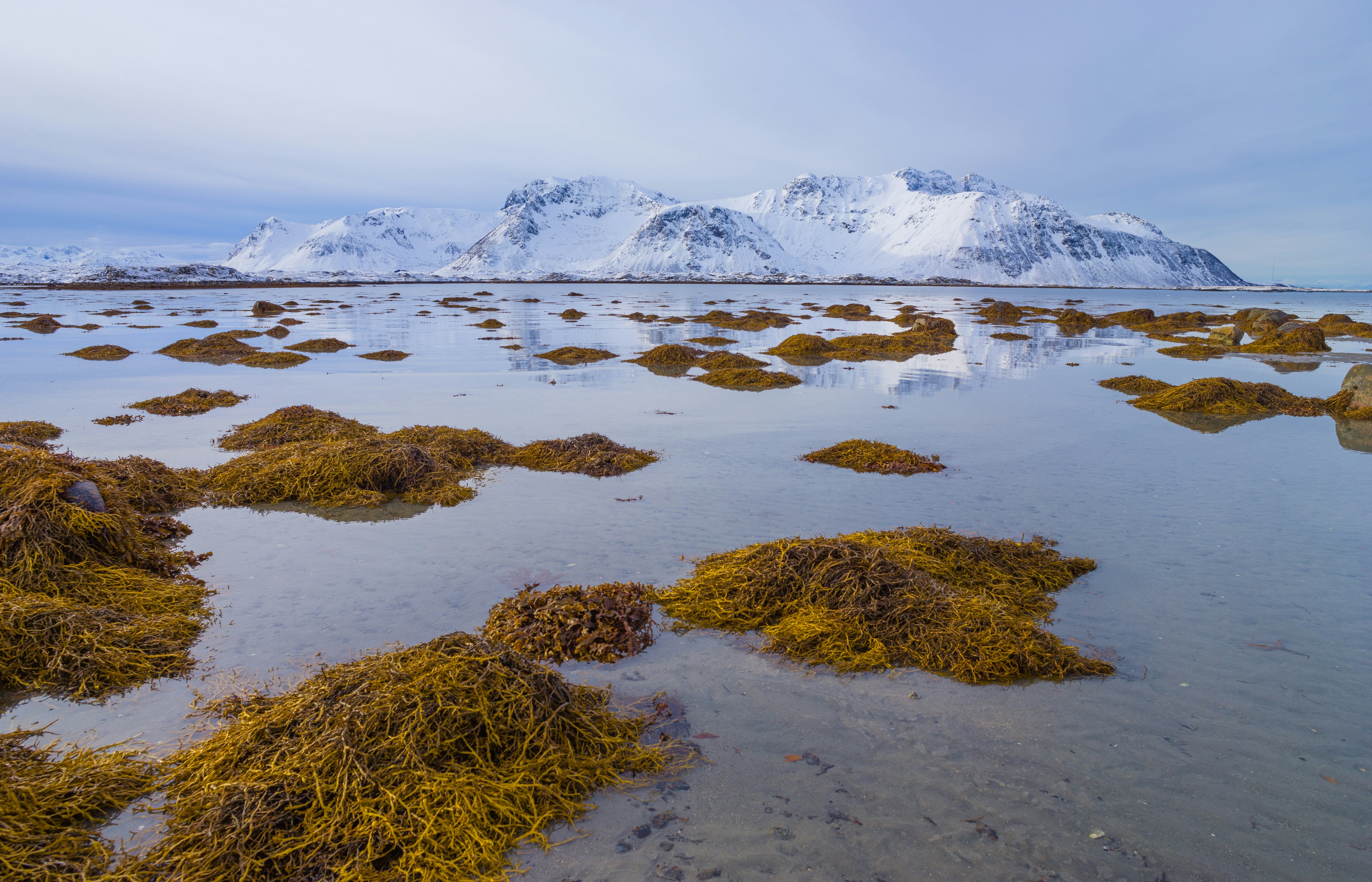 Seasonal Rhythms of Microbial Life (image credits: unsplash)