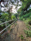 An inspiring nature trail perfect for exercise.