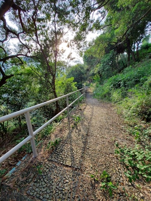 An inspiring nature trail perfect for exercise.