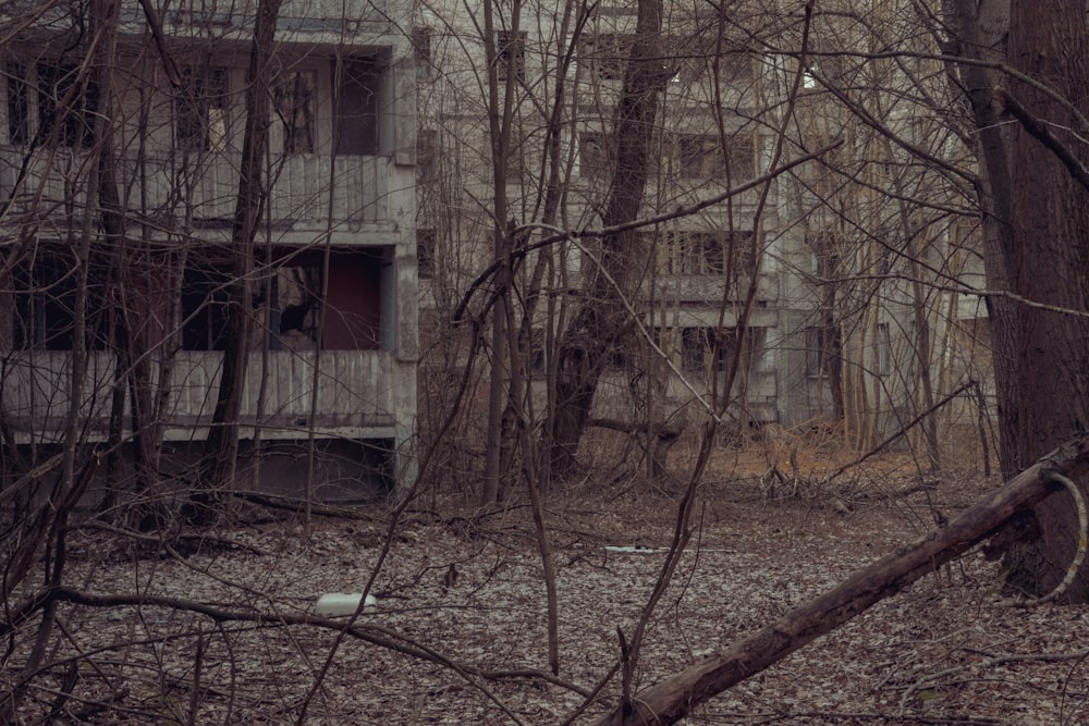 bare trees near white concrete building during daytime