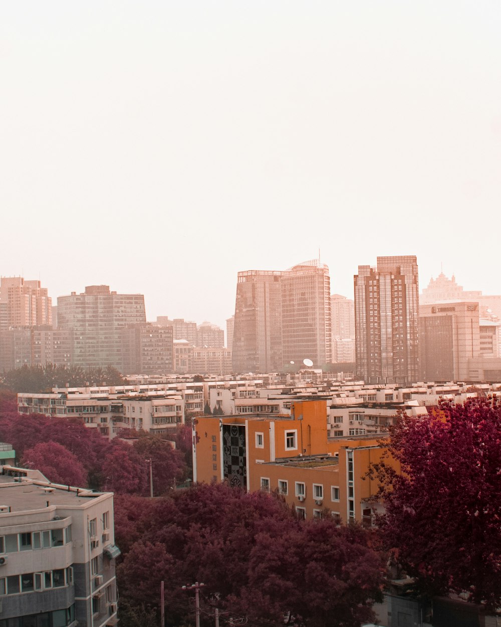 high rise buildings during daytime