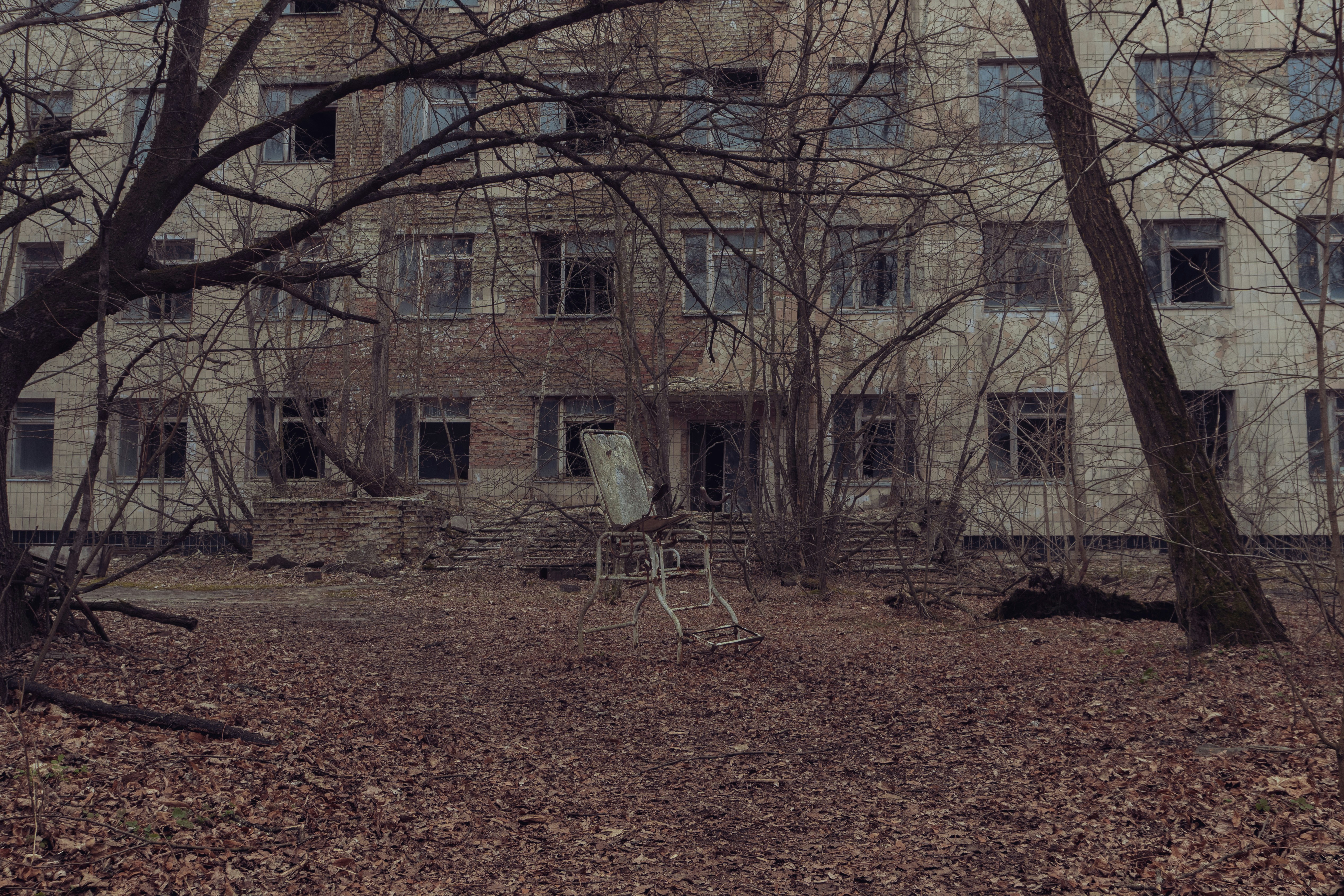 Árboles desnudos marrones cerca de un edificio de concreto marrón durante el día