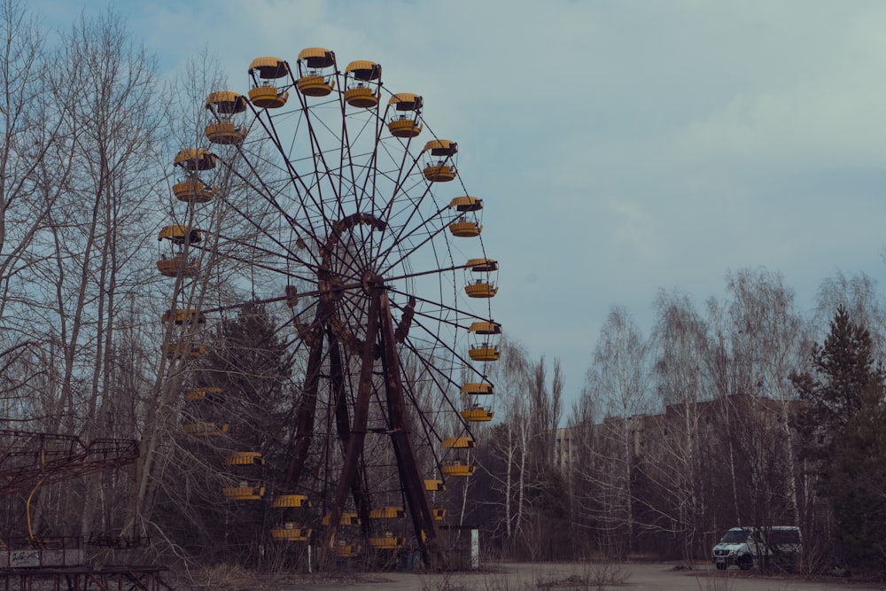 Ruota panoramica bianca vicino agli alberi spogli durante il giorno