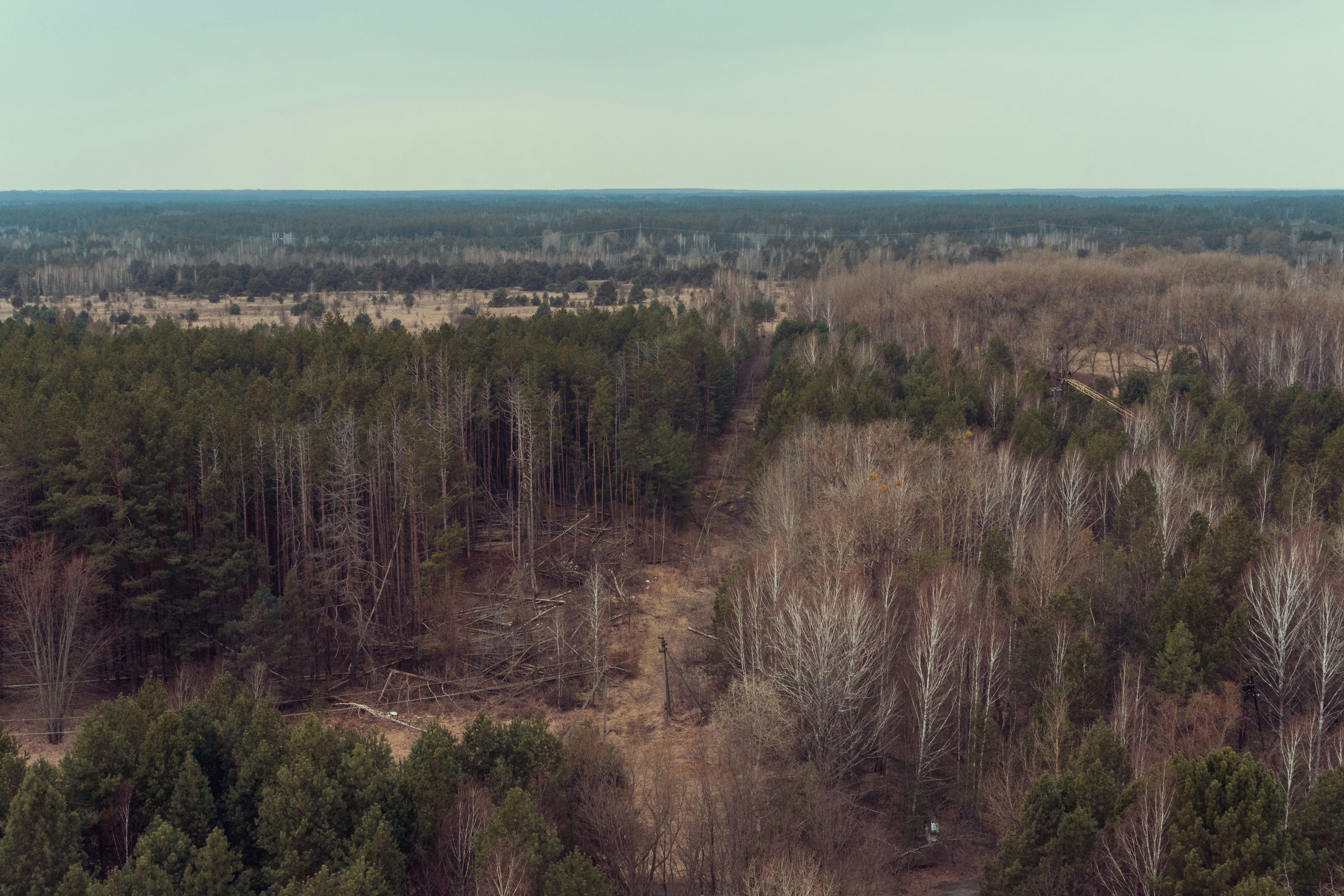 Photo by katoblackmore