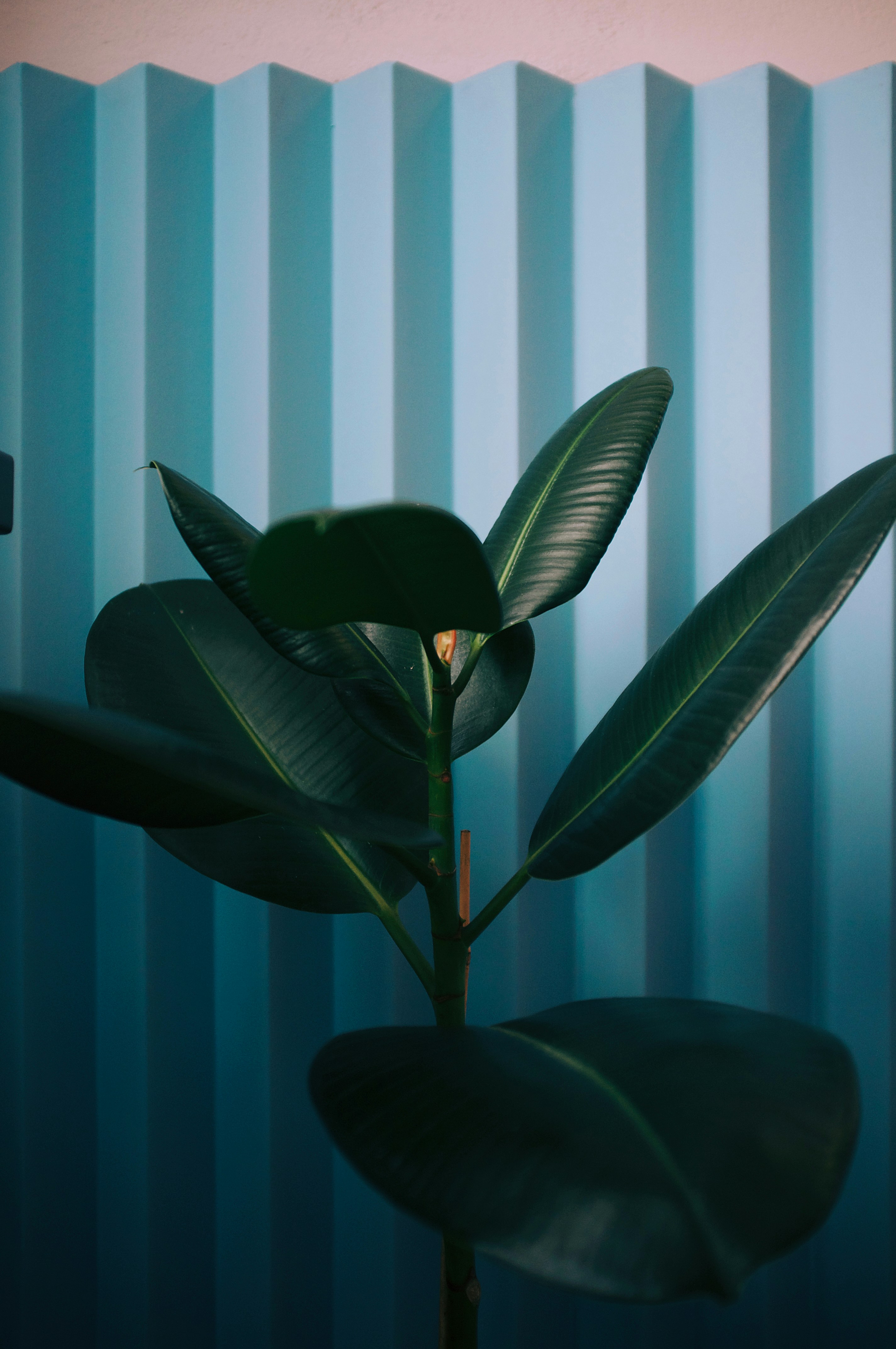 Photo by cherenkevich