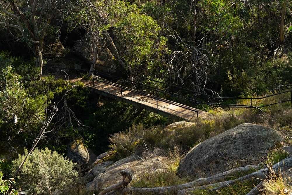 brown wooden bridge over green trees during daytime