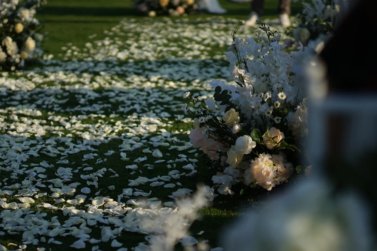 white flowers on green grass field during daytime