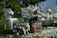 An outdoor setting with an arrangement of white chairs decorated with sheer fabric and floral bouquets. A wooden crate labeled 'FARM FRESH' supports a mix of white and pink flowers. Petals are scattered across the grass, enhancing the serene and romantic atmosphere.