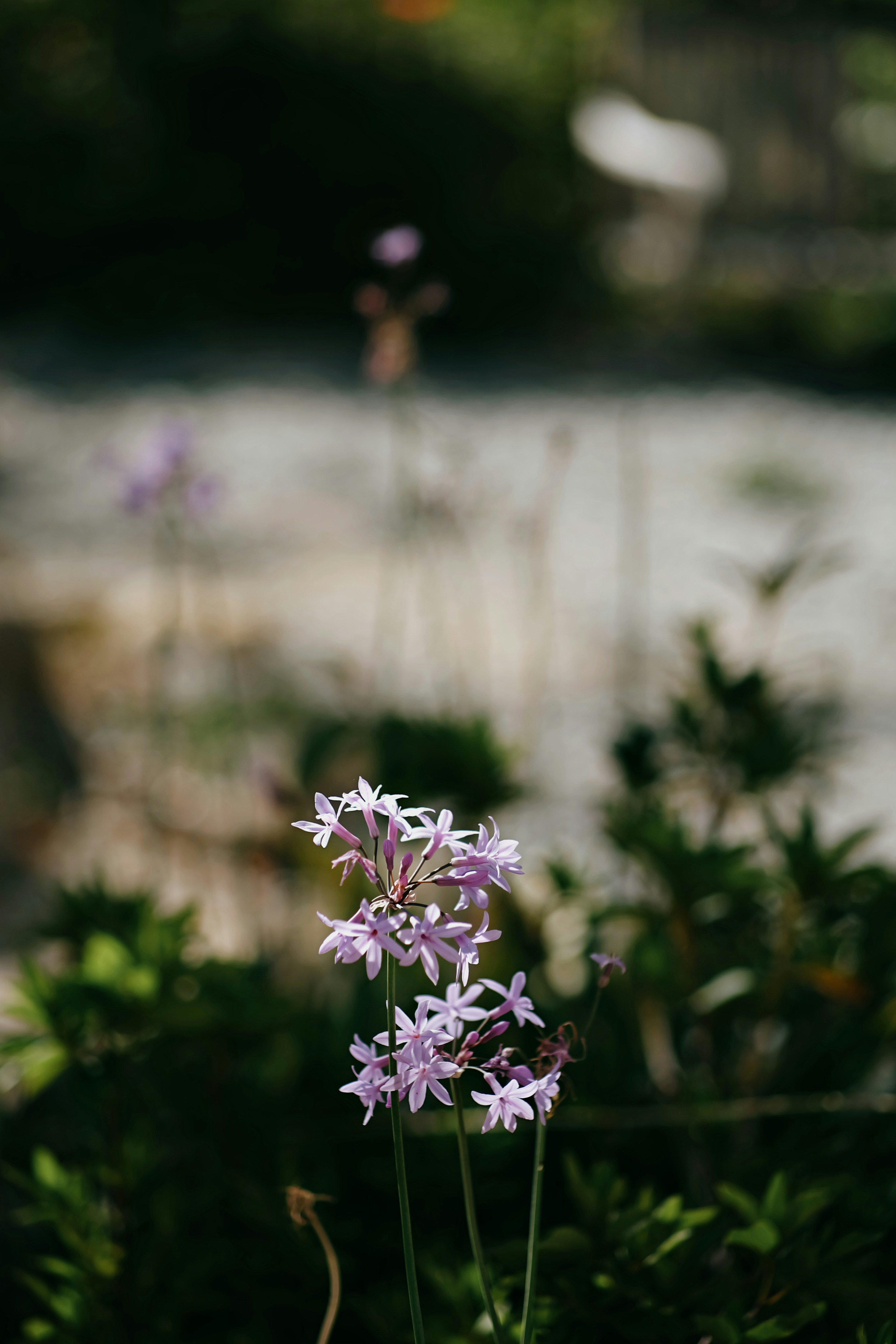 Photo by carternguyen