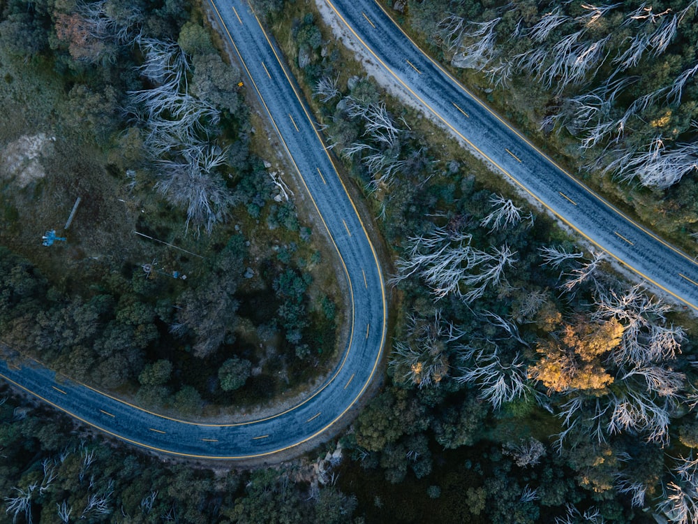 aerial view of road in the middle of trees