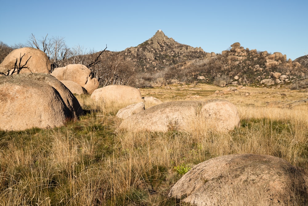 brown and gray rock formation