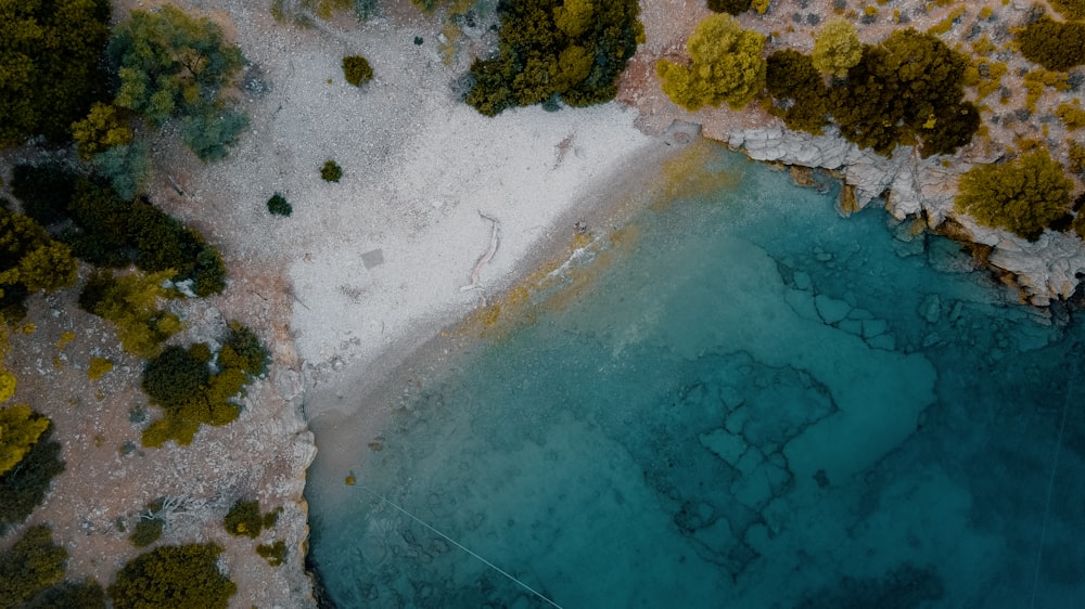 aerial view of green trees and white sand beach