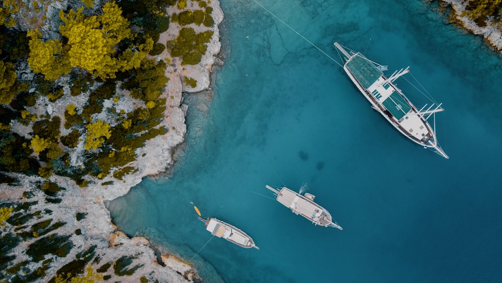 white and blue boat on body of water during daytime