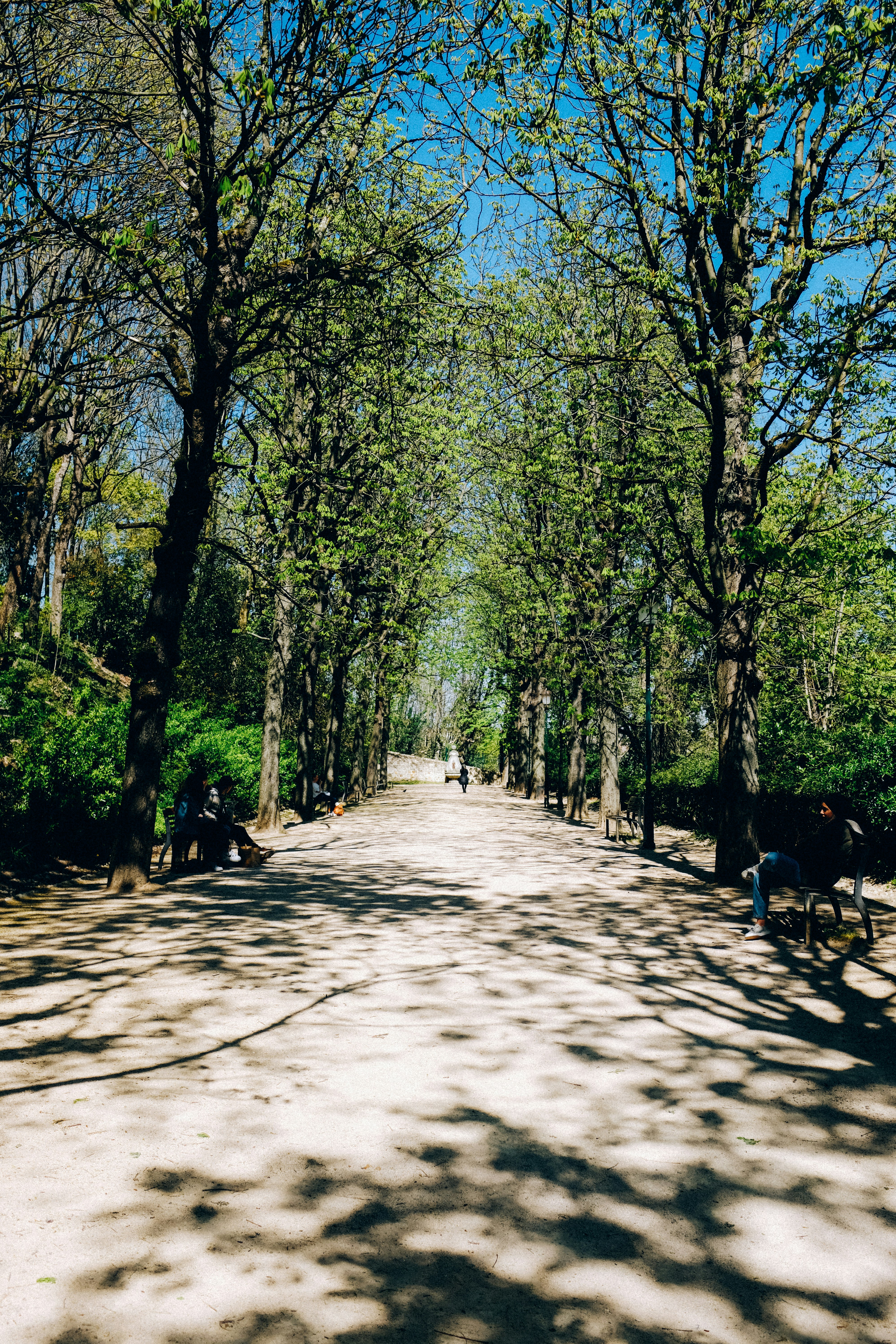 Photo by adrienolichon