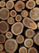 brown wooden logs in close up photography