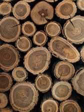 brown wooden logs in close up photography